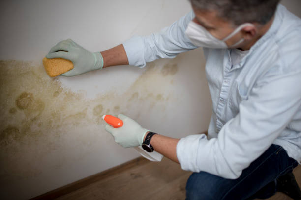 Best HVAC Mold Remediation in Lake Mohawk, NJ