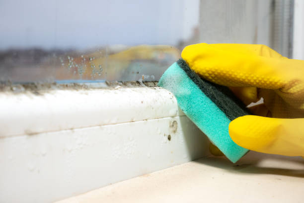 Best Post-Flood Mold Remediation in Lake Mohawk, NJ