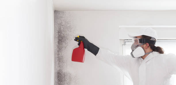 Best Mold Testing and Inspection Services in Lake Mohawk, NJ