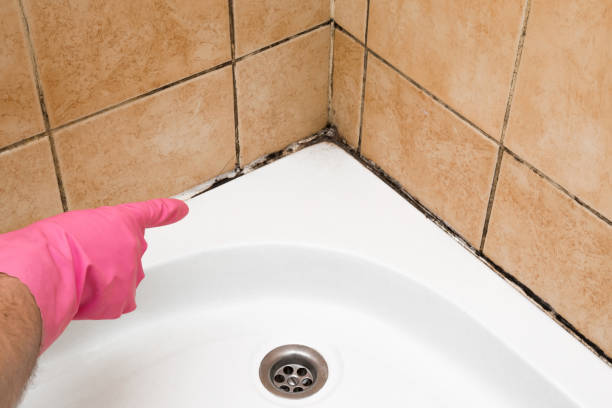 Best Preventive Mold Services in Lake Mohawk, NJ